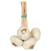 JUNGER KNOBLAUCH 5 STÜCK ÄGYPTEN